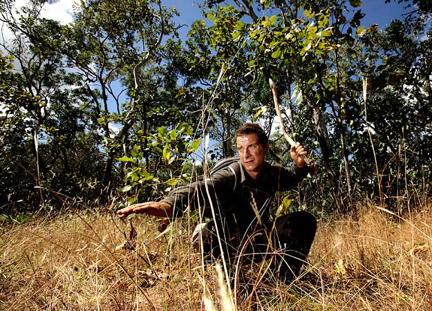 贝尔·格力尔斯