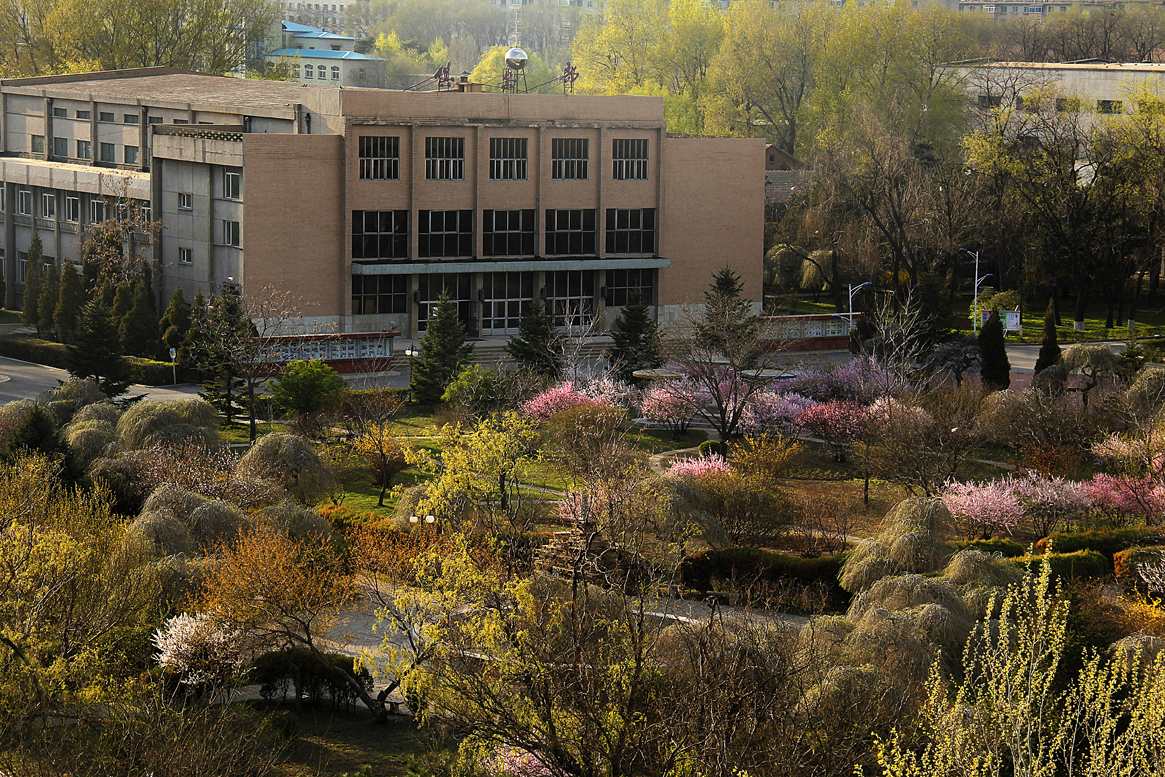 沈阳职业技术技术学院