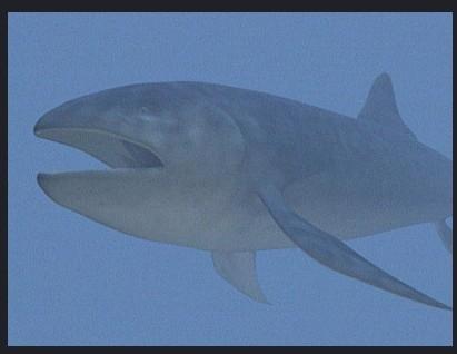  p>利兹鱼(leedsichthys problematicus)是一种已经灭绝巨大的厚茎鱼