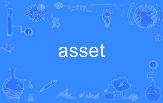 asset_百度百科