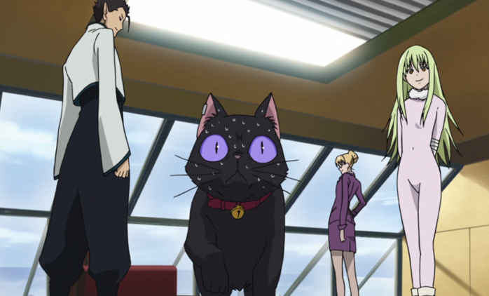  p>《darker than black -黑之契约者-》是由日本动画公司 a target="