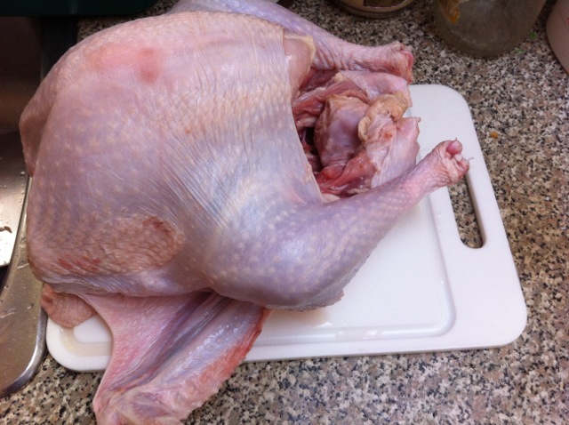 火鸡感恩节必备