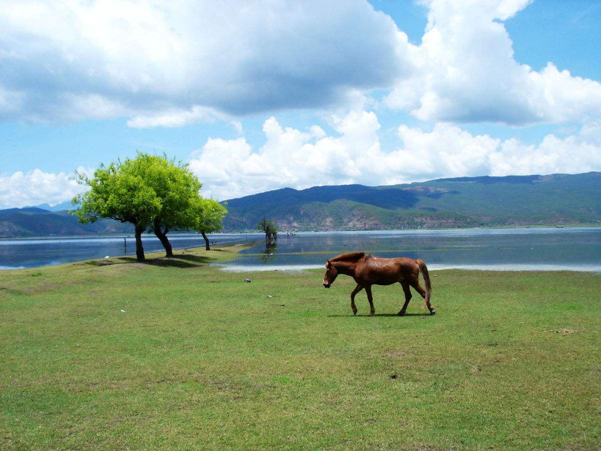 拉市海高原湿地省级自然保护区