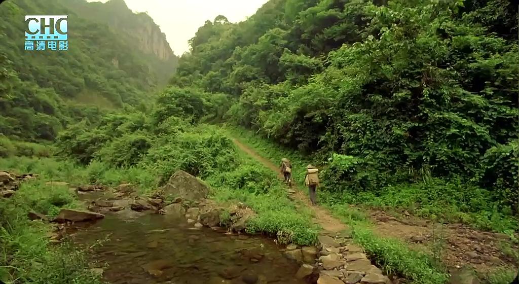 那山那人那狗