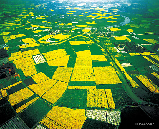 data-lemmaid="1932950">三大平原 /a>之一,中国人口最