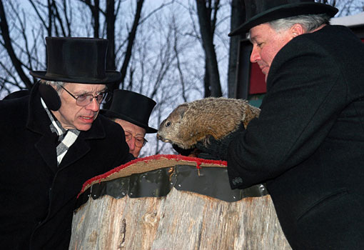  p data-id="gnyxkwxi2x">土拨鼠节(groundhog day),即公历2月2日,是