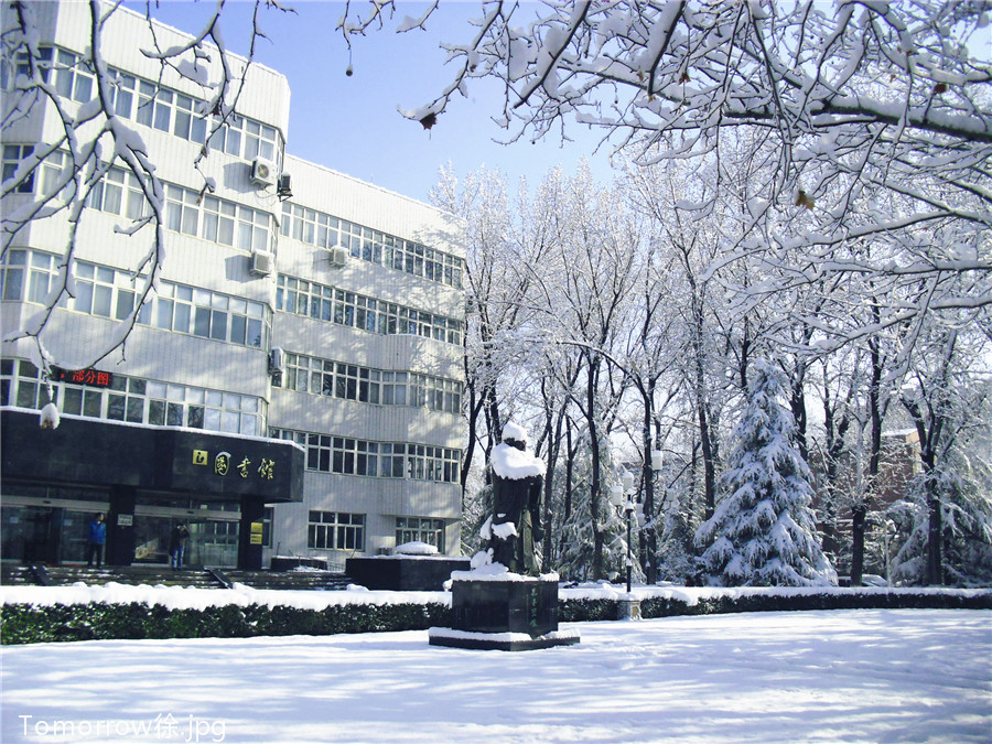北京语言大学