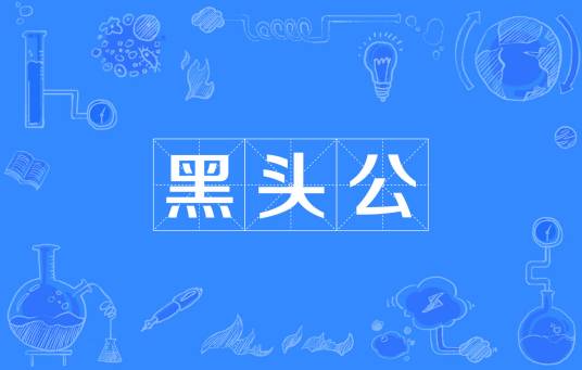 黑头公（汉语词汇）_百度百科