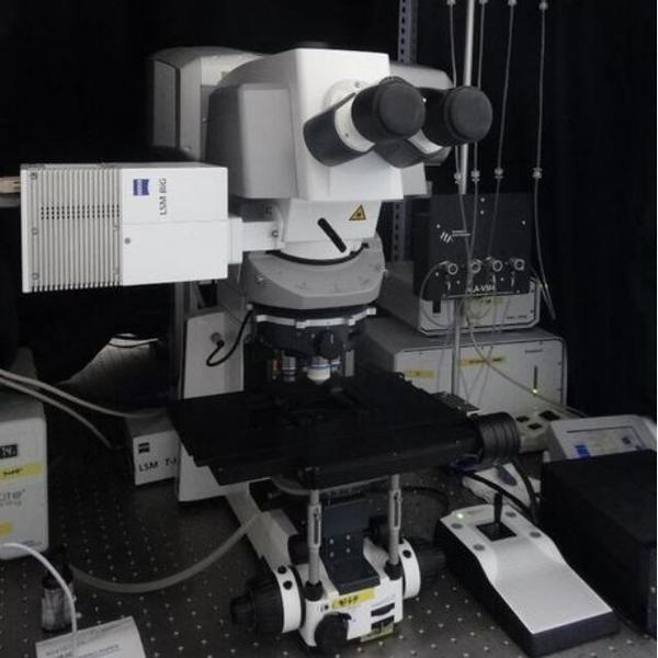 多光谱分离型荧光显微镜