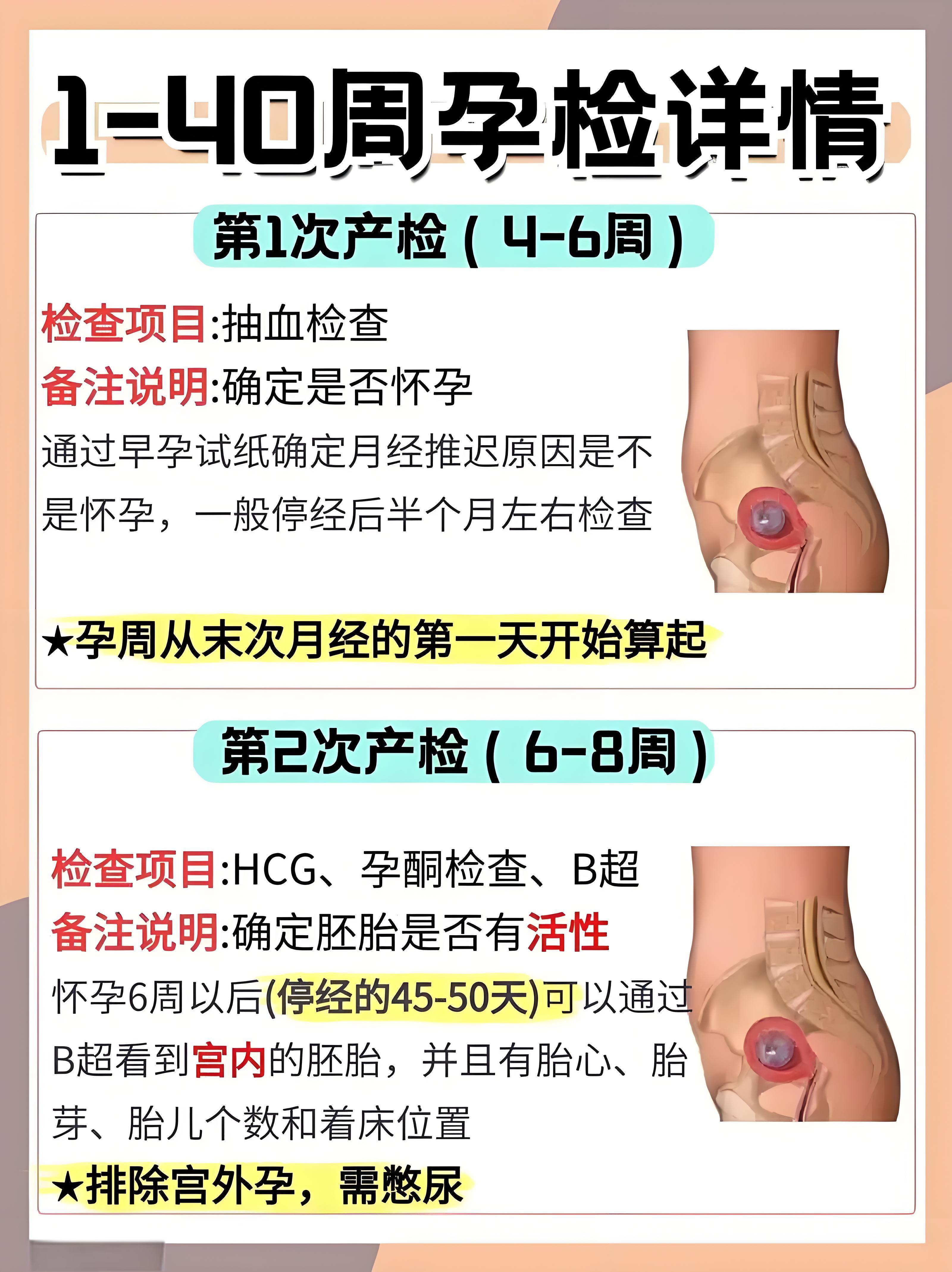 鲜胚移植算孕周_鲜胚移植算什么周期