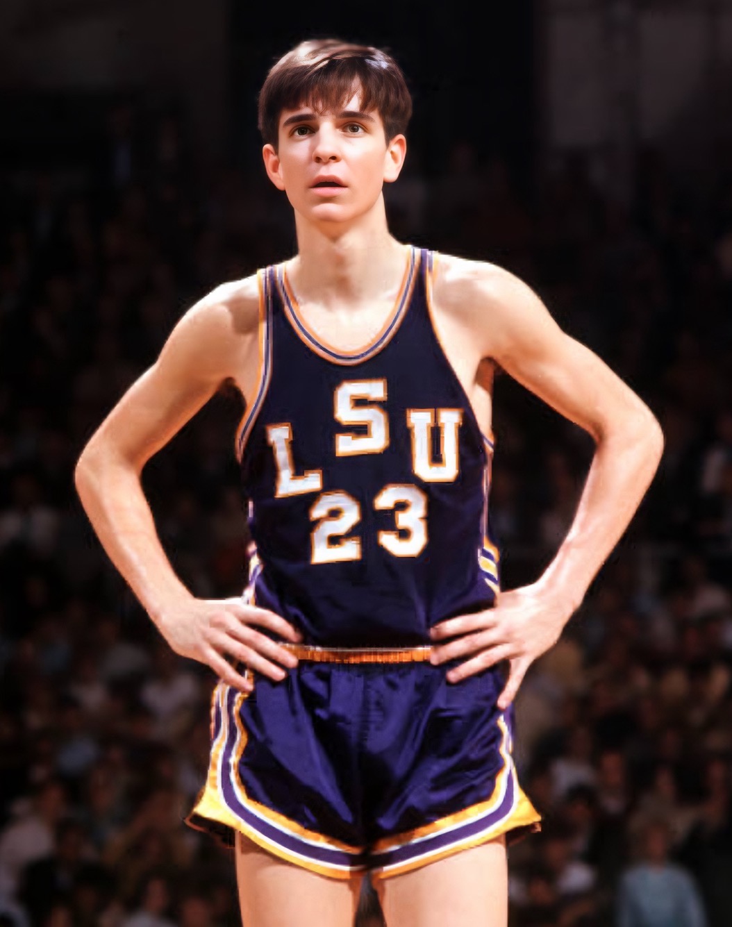 皮特·马拉维奇