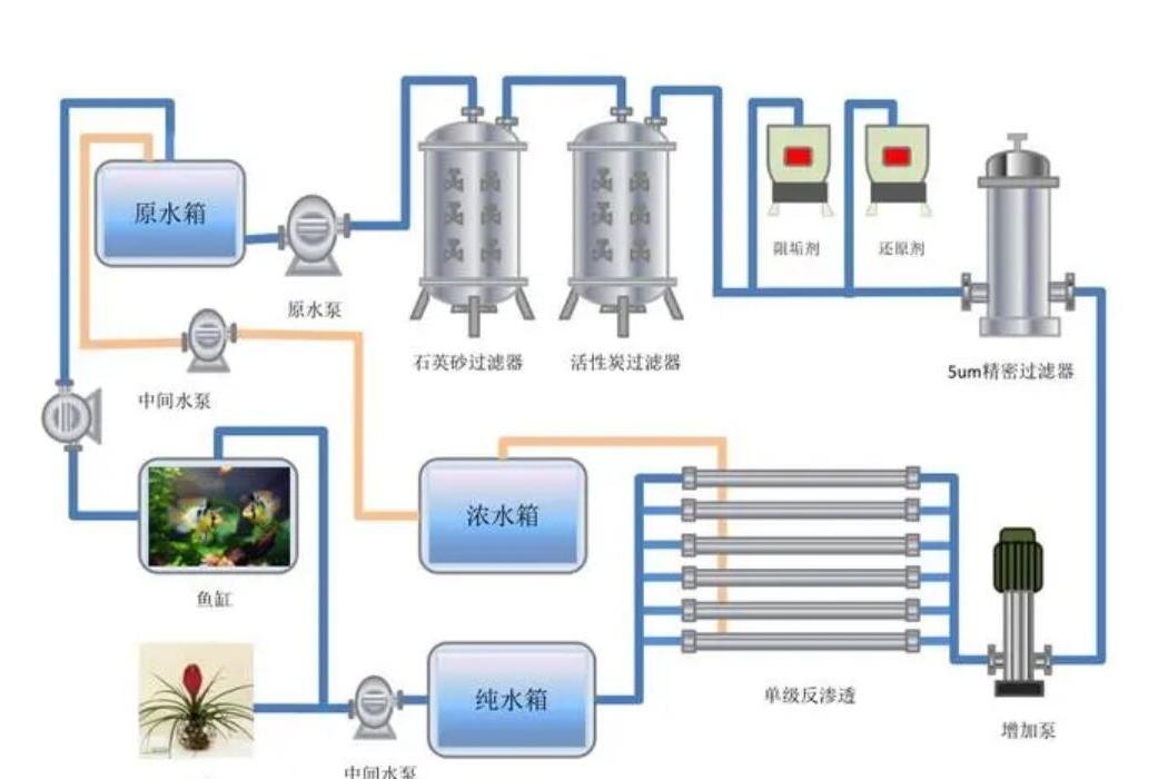 海水淡化预处理工艺