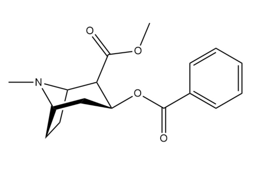 可卡因(cocaine),又称古柯碱,化学名称为苯甲基芽子碱,多呈白色晶体状