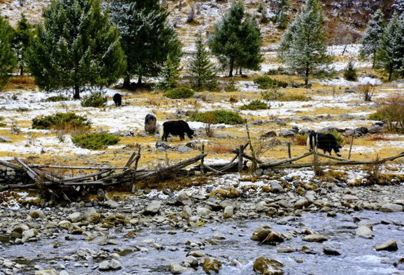  p>毛日乡,隶属于四川省阿坝藏族羌族自治州金川县,地处 a target="