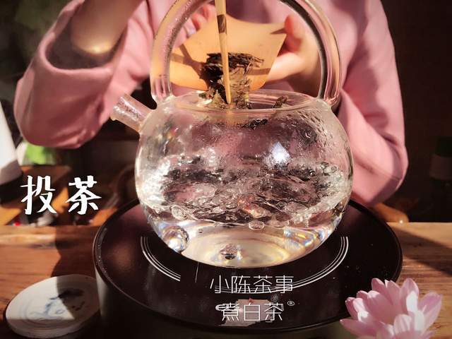 熬煮、加陈皮煮、放冷水煮、铁壶煮，煮老白茶就可以随心所欲？_百科TA说