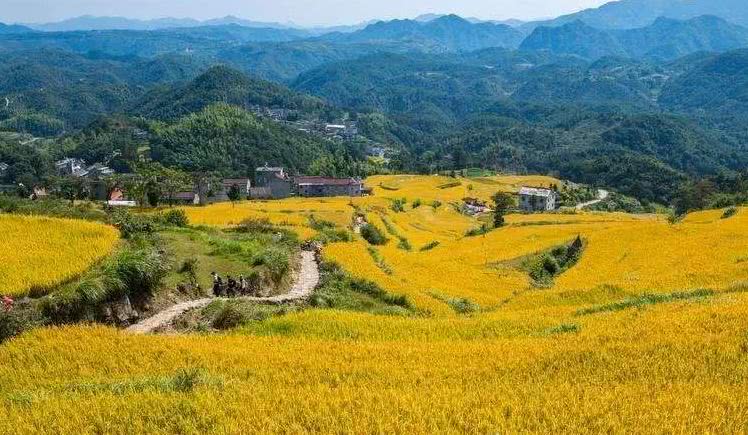  p>坦头镇,隶属于浙江省台州市天台县,地处 a target="_blank" href="