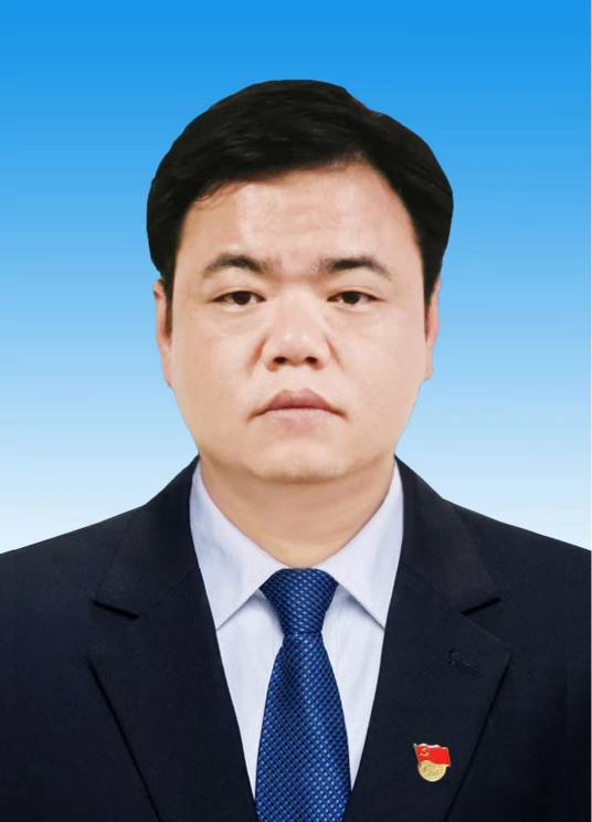 黄鹏（湖北省咸宁市人民政府国有资产监督管理委员会党委副书记、主任）_百度百科