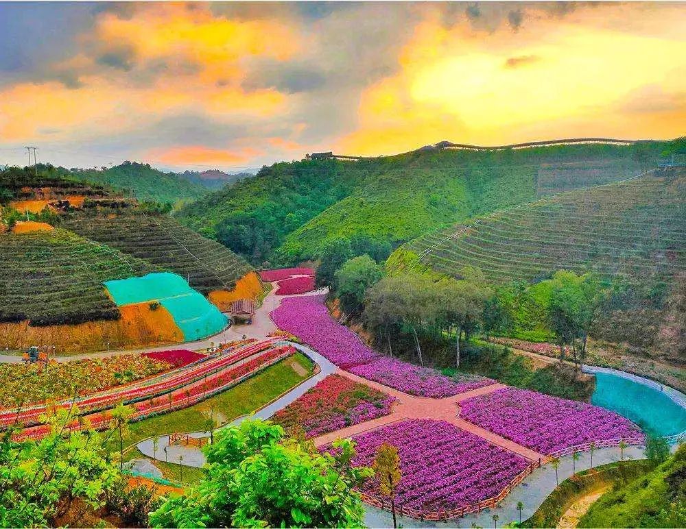  p data-id="gnbq8tssjn">五华县新丰寨休闲农业旅游区位于 a target=