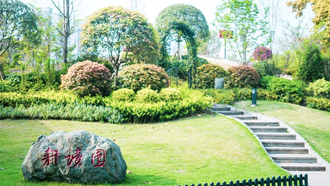 重庆市南渝中学校