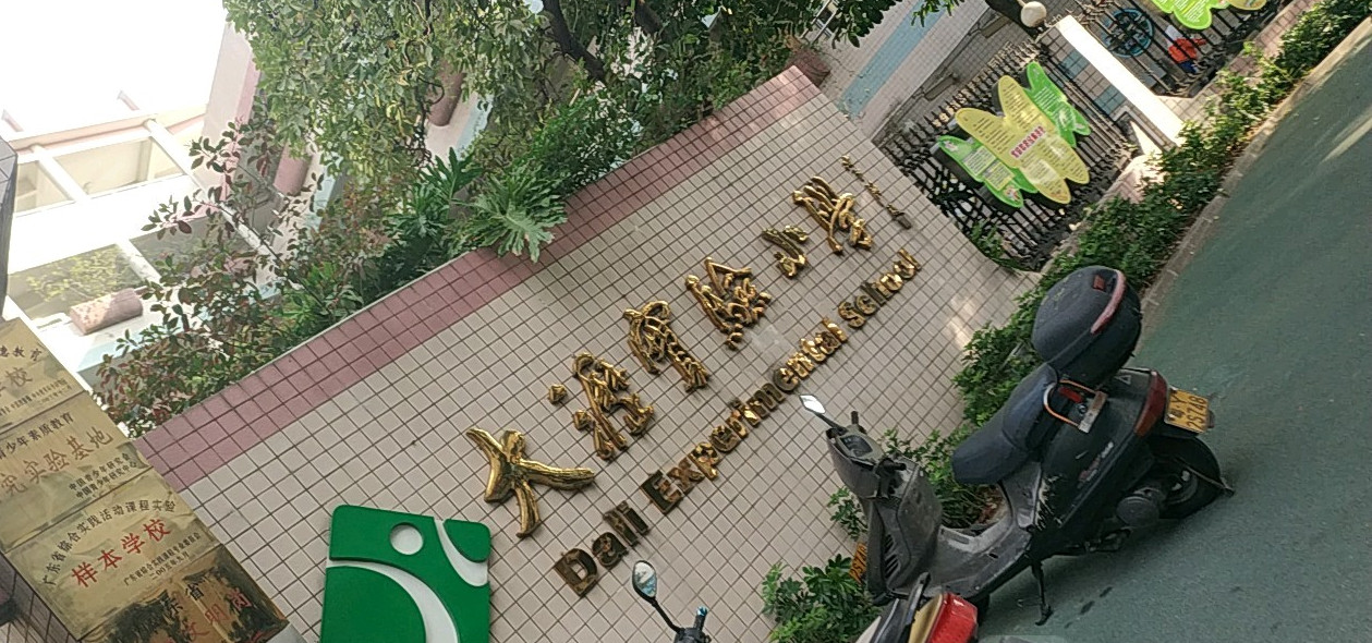 佛山市大沥实验小学