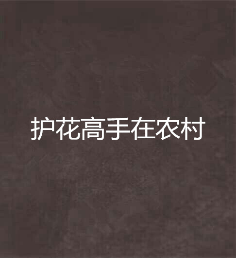 护花高手在农村