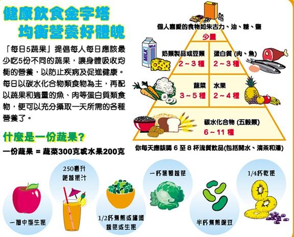 这个程序告诉大家各种日常食物它的营养价值和容易被我们人体吸收的