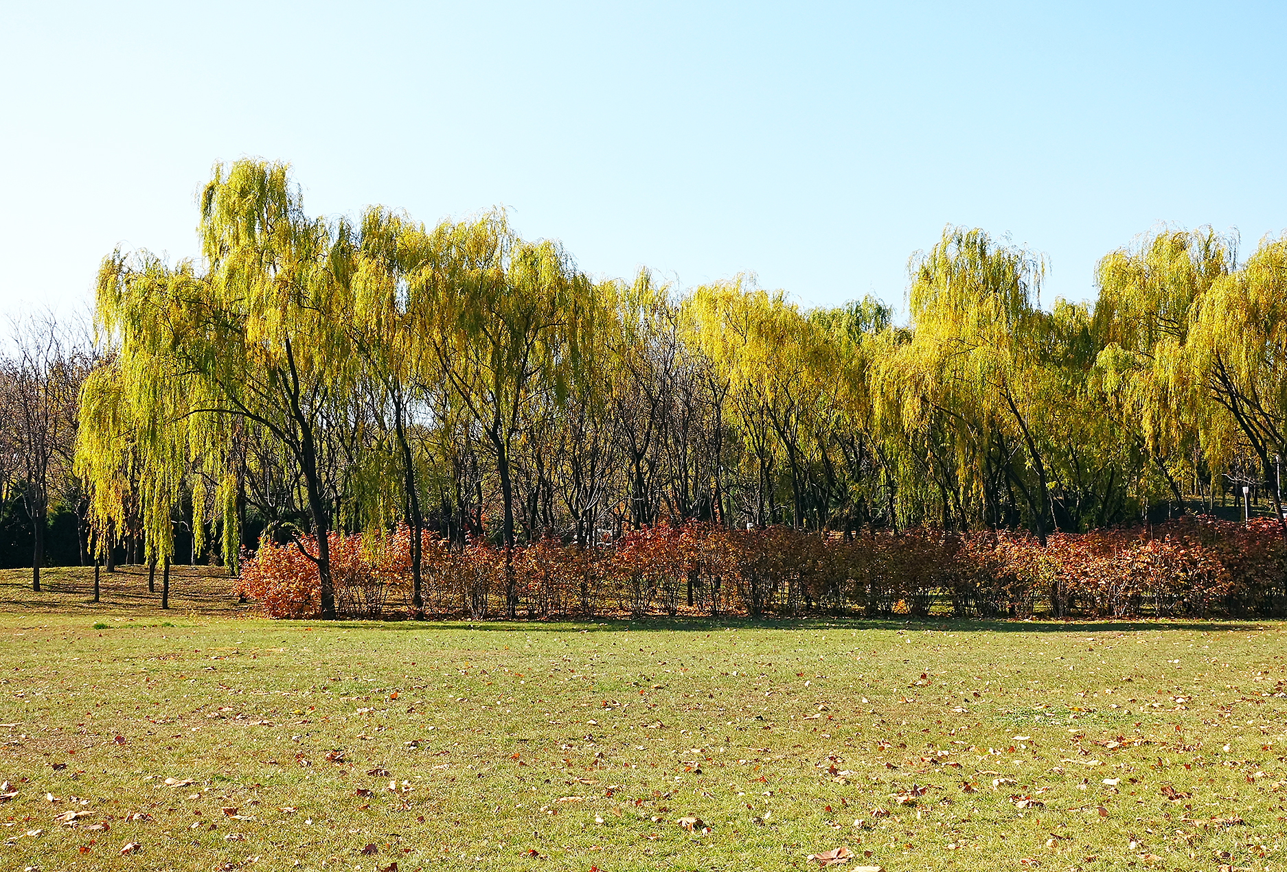  p>日月岛是大庆连环湖度假区西部一个面积约1平方公里的湖中小岛