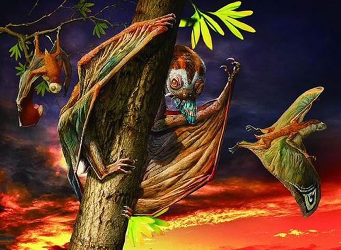 喇嘛洞黄昏翼龙