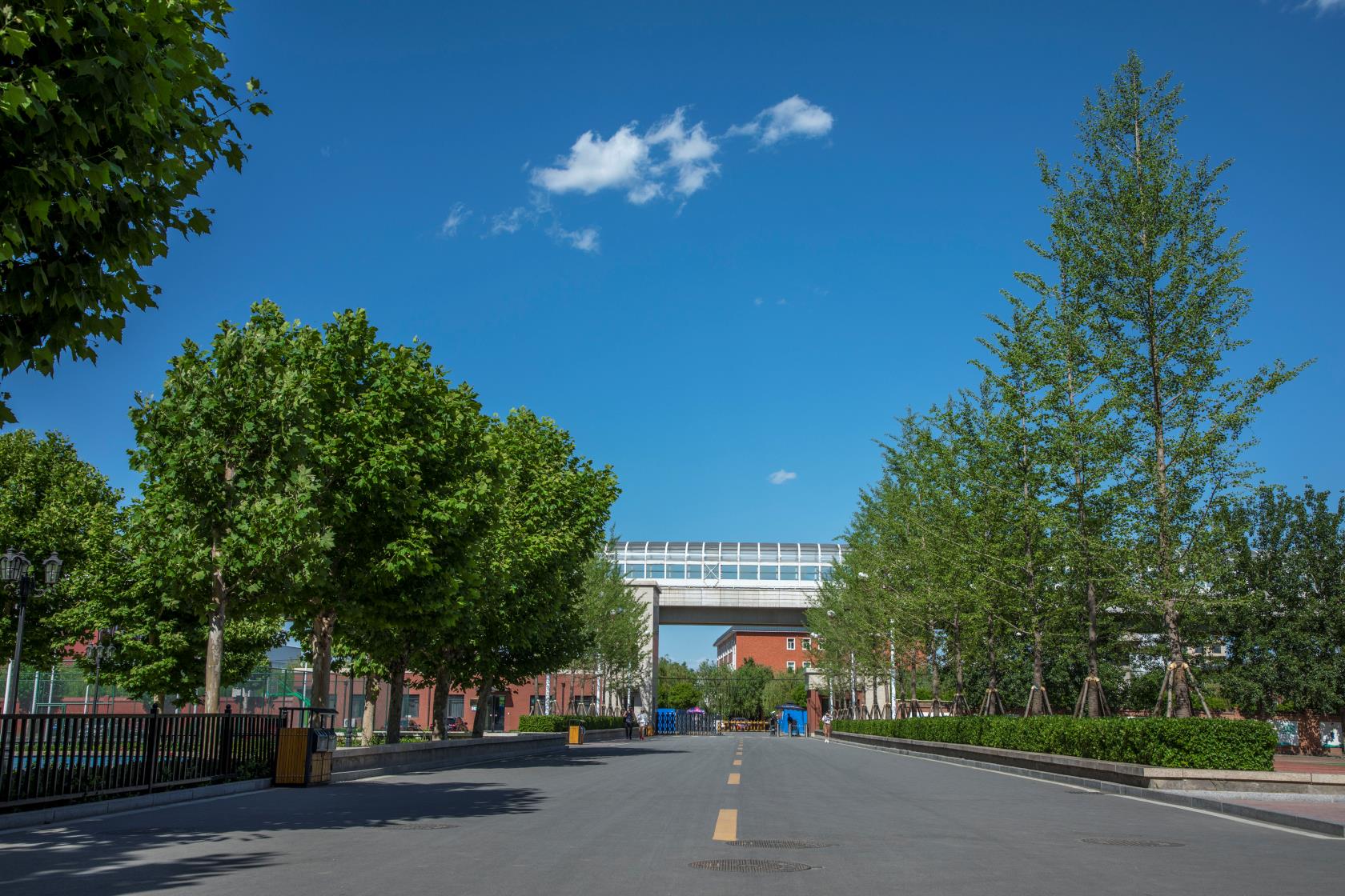 北京科技经营管理学院