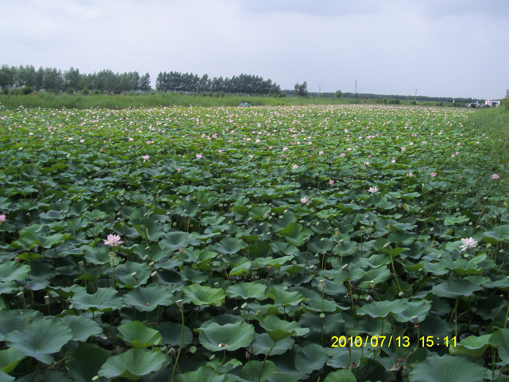 锦绣大地农业观光园区