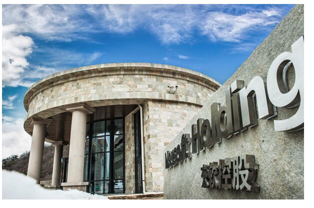 大连东软控股有限公司