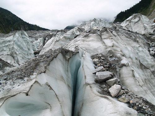 在当时属于冈瓦纳古陆的南半球各大洲及现今处于北半球的印度半岛