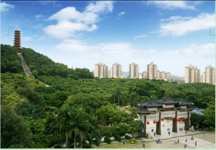 光明区（广东省深圳市辖区）_百度百科