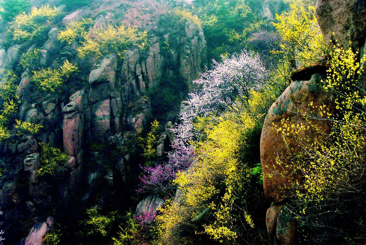 博山泉河青龙洞风景区