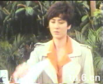 龙凤贼捉贼longfengzeizhuozei(1990)