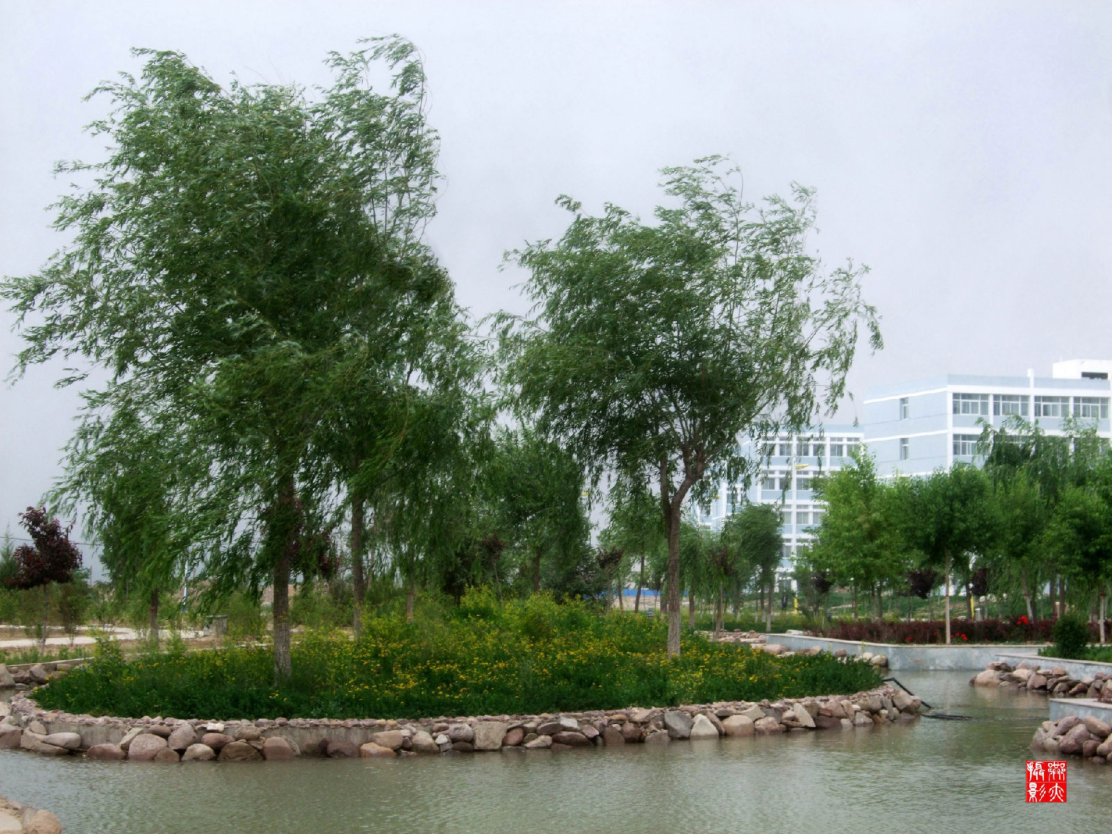 2013ɹŸ߿_ɹŴѧ_2016߿ɹŷһһβѯ