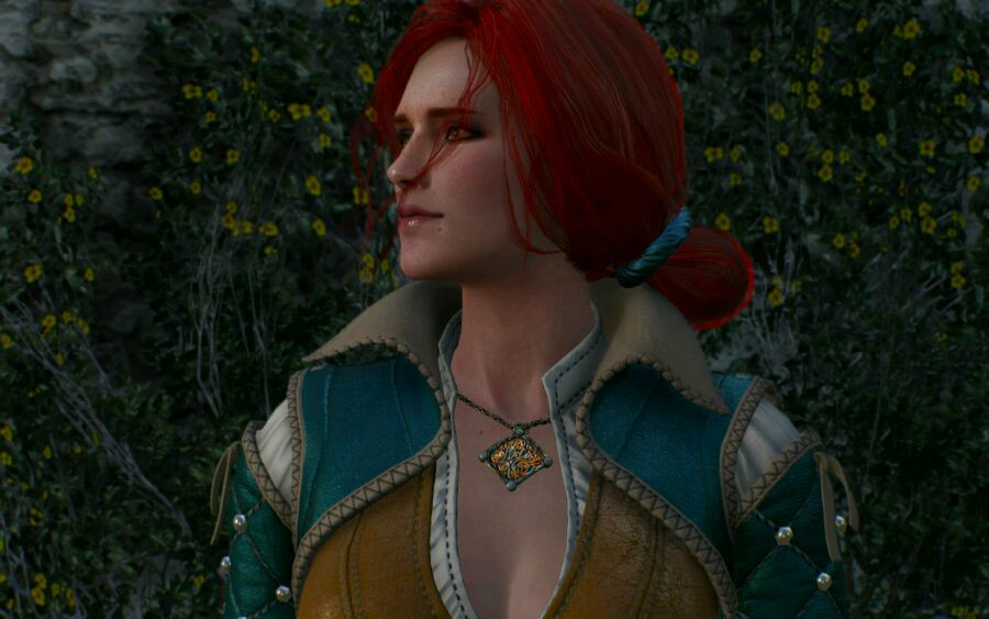 特莉丝·梅莉葛德,女,小说 a target="_blank" href="/item/《猎魔人