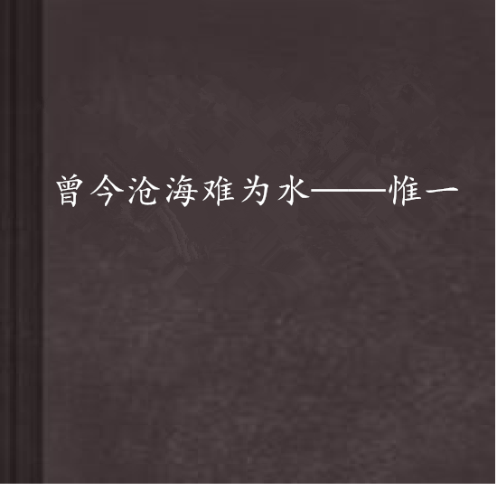 曾今沧海难为水——惟一