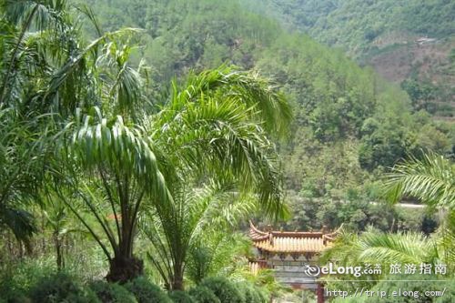 思茅小黑江森林公园