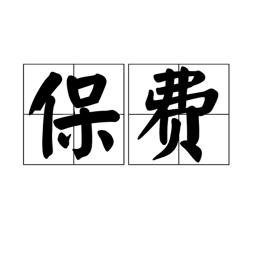 保费