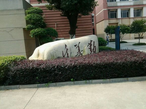 附中滨江