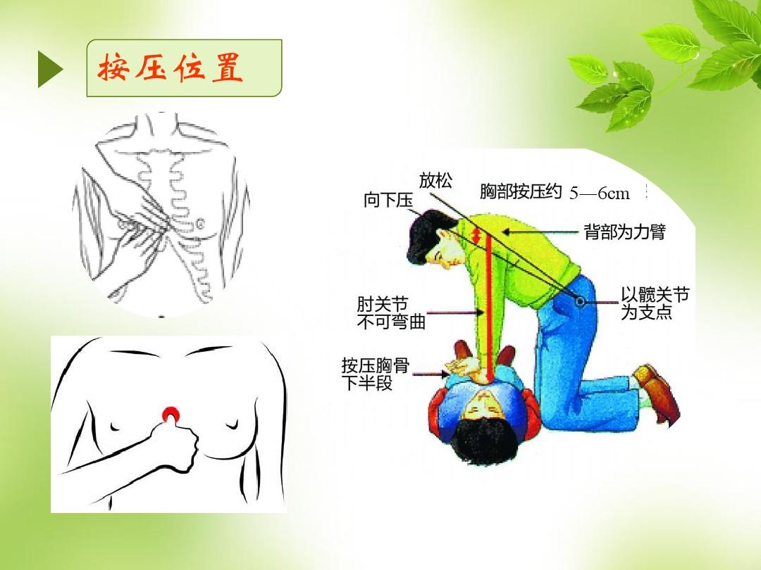 data-lemmaid="4278482">心肺复苏术 /a>,简称cpr,是针对骤停的心脏和