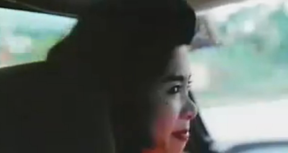 横冲直撞火凤凰waangchungjikjongfohfungwong(1990)