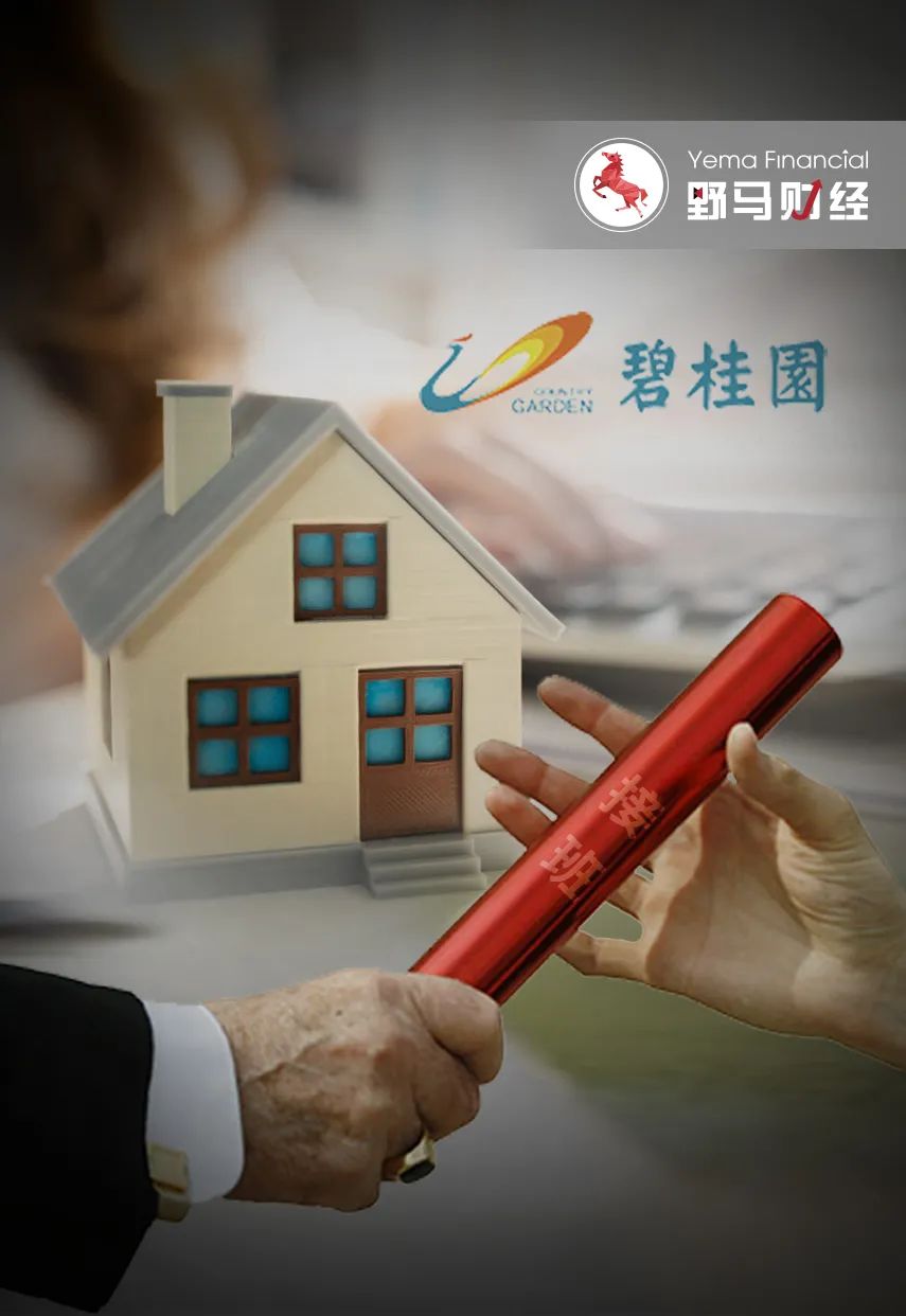 初代地产大佬杨国强退隐，“接班人”为何是二女儿杨惠妍？_百科TA说