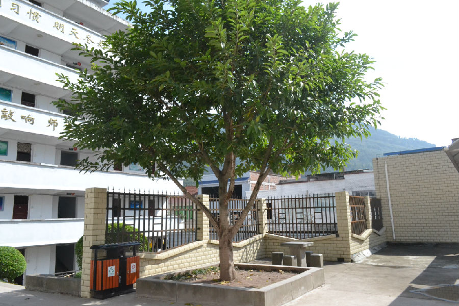  p>双龙镇,隶属于重庆市云阳县,地处 a target="_blank" href="/item