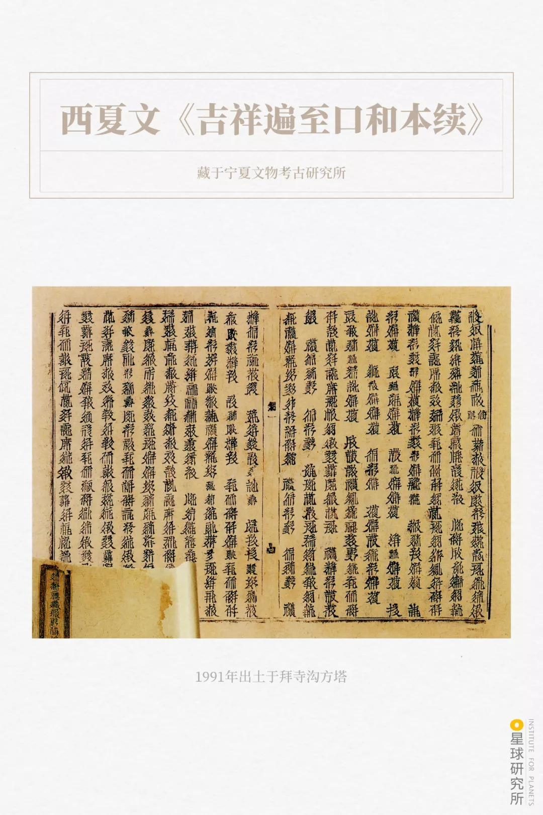 西夏在哪里？_百科TA说