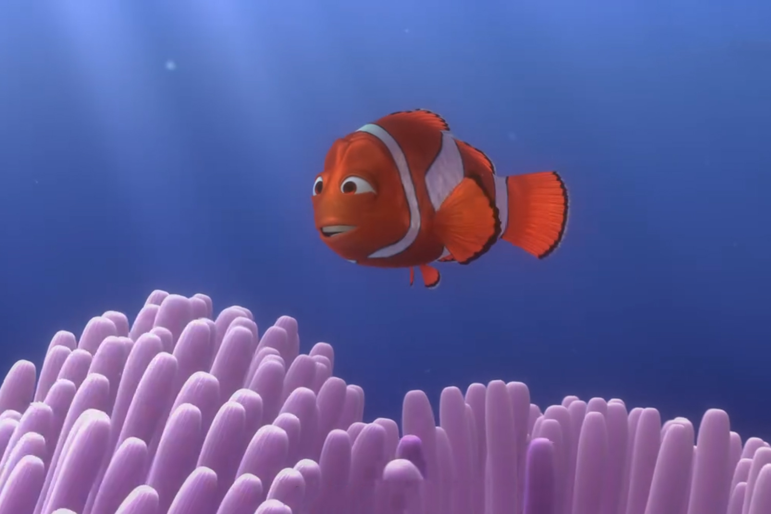  p>马林(marlin),是《 a target="_blank" href="/item/海底总动员