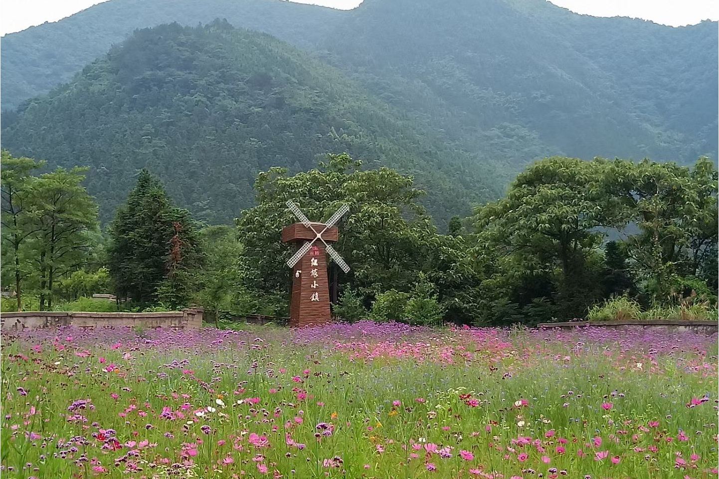  p>红旅小镇位于宣城市泾县云岭镇光明村(营房). /p>