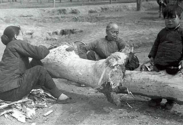 古代闹饥荒时，灾民为何放着河里的鱼虾不抓，宁可吃草根啃树皮？_百科TA说