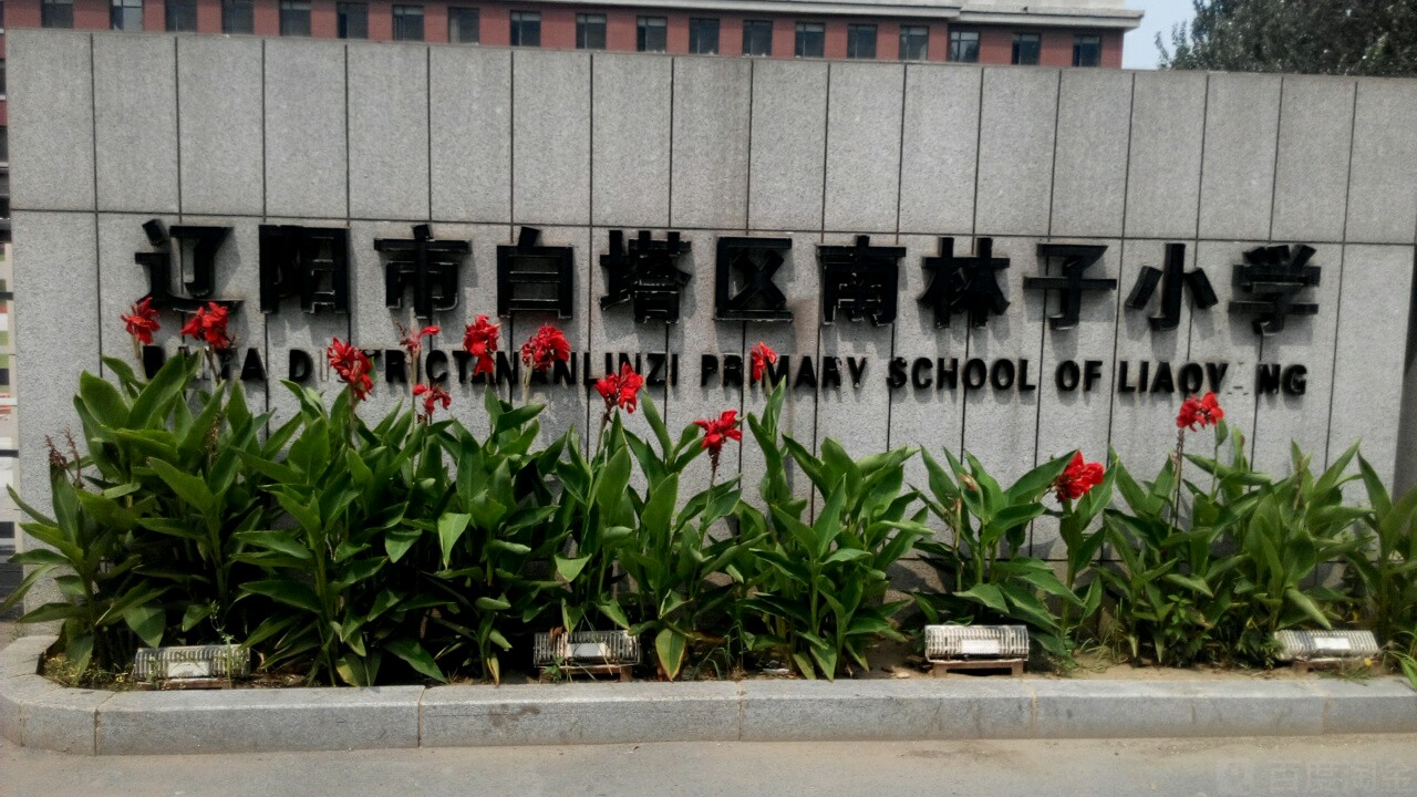 南林子小学